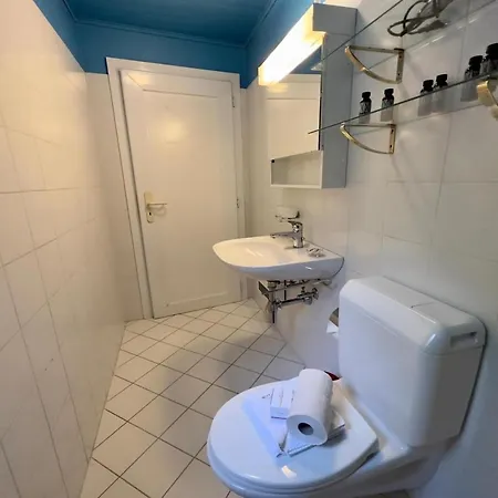 Casa Sott Al Sass - Happy.rentals Daire Ascona